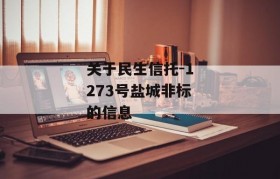 关于民生信托-1273号盐城非标的信息