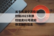 关于天津宁河投资控股2023年债权拍卖02号政府债定融的信息