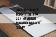 (山东青州宏源债权资产计划（2022）)青州宏源包装彩印有限公司怎么样