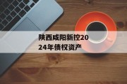 陕西咸阳新控2024年债权资产