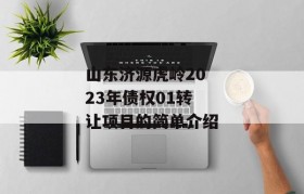 山东济源虎岭2023年债权01转让项目的简单介绍