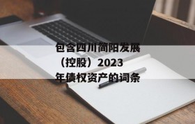 包含四川简阳发展（控股）2023年债权资产的词条