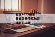 包含2023山东泰安岱岳债权融资计划的词条