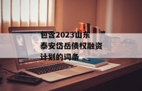 包含2023山东泰安岱岳债权融资计划的词条