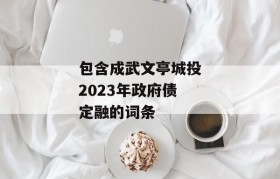 包含成武文亭城投2023年政府债定融的词条