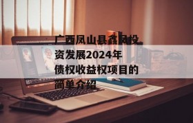 广西凤山县鑫凤投资发展2024年债权收益权项目的简单介绍