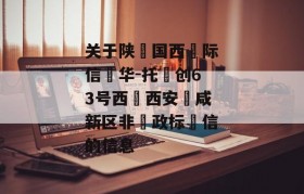 关于陕‮国西‬际信‮华-托‬创63号西‮西安‬咸新区非‮政标‬信的信息