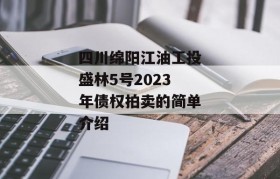 四川绵阳江油工投盛林5号2023年债权拍卖的简单介绍