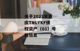 关于2023年重庆TNLYKF债权资产（01）号的信息