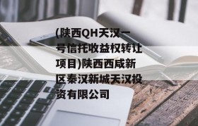 (陕西QH天汉一号信托收益权转让项目)陕西西咸新区秦汉新城天汉投资有限公司