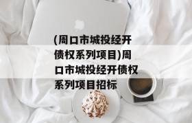 (周口市城投经开债权系列项目)周口市城投经开债权系列项目招标