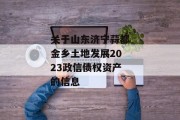 关于山东济宁蒜都金乡土地发展2023政信债权资产的信息