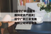 (遂宁广利工业发展特定资产拍卖)遂宁广利工业发展有限公司评级报告