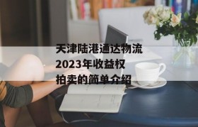 天津陆港通达物流2023年收益权拍卖的简单介绍