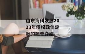 山东海科发展2023年债权政信定融的简单介绍