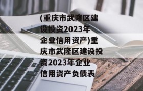 (重庆市武隆区建设投资2023年企业信用资产)重庆市武隆区建设投资2023年企业信用资产负债表