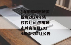 (山东邹城市城资控股2024年债权转让)山东邹城市城资控股2024年债权转让公告