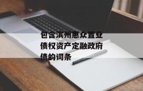 包含滨州惠众置业债权资产定融政府债的词条