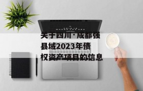 关于四川·成都强县域2023年债权资产项目的信息