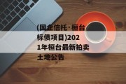 (国企信托·桓台标债项目)2021年桓台最新拍卖土地公告