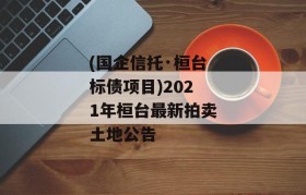 (国企信托·桓台标债项目)2021年桓台最新拍卖土地公告