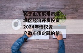 关于山东滨州市滨城区经济开发投资2024年债权资产政府债定融的信息