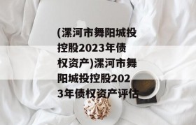 (漯河市舞阳城投控股2023年债权资产)漯河市舞阳城投控股2023年债权资产评估