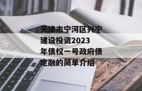 天津市宁河区兴宁建设投资2023年债权一号政府债定融的简单介绍