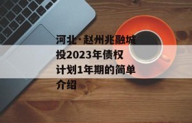 河北·赵州兆融城投2023年债权计划1年期的简单介绍