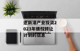 关于湖北*武汉阳逻新港产业投资2023年债权转让计划的信息