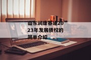 山东润康基建2023年发展债权的简单介绍