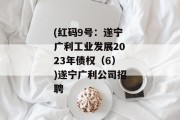 (红码9号：遂宁广利工业发展2023年债权（6）)遂宁广利公司招聘