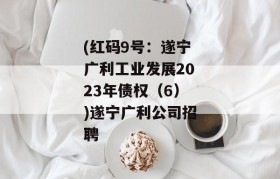 (红码9号：遂宁广利工业发展2023年债权（6）)遂宁广利公司招聘