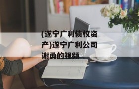 (遂宁广利债权资产)遂宁广利公司谢勇的视频