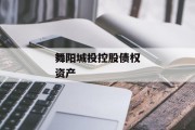 舞阳城投控股债权资产