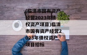 (临清市国有资产经营2023年债权资产项目)临清市国有资产经营2023年债权资产项目招标