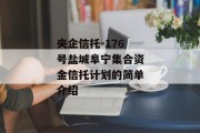 央企信托-176号盐城阜宁集合资金信托计划的简单介绍