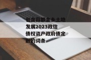 包含蒜都金乡土地发展2023政信债权资产政府债定融的词条