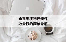 山东枣庄物环债权收益权的简单介绍