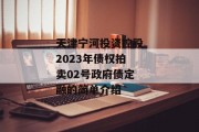 天津宁河投资控股2023年债权拍卖02号政府债定融的简单介绍