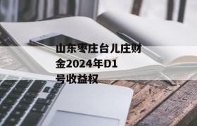 山东枣庄台儿庄财金2024年D1号收益权