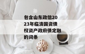 包含山东政信2023年临清国资债权资产政府债定融的词条