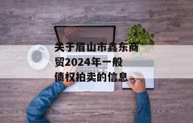 关于眉山市鑫东商贸2024年一般债权拍卖的信息