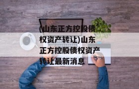 (山东正方控股债权资产转让)山东正方控股债权资产转让最新消息