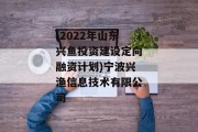 (2022年山东兴鱼投资建设定向融资计划)宁波兴渔信息技术有限公司