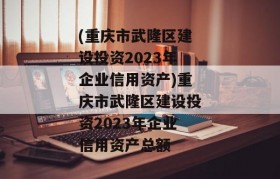 (重庆市武隆区建设投资2023年企业信用资产)重庆市武隆区建设投资2023年企业信用资产总额