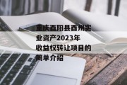 重庆酉阳县酉州实业资产2023年收益权转让项目的简单介绍
