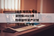 (山东潍坊潍州投资控股2023债权收益权资产计划)潍坊投资项目