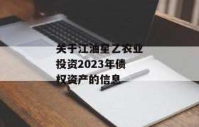 关于江油星乙农业投资2023年债权资产的信息