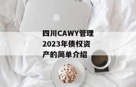 四川CAWY管理2023年债权资产的简单介绍